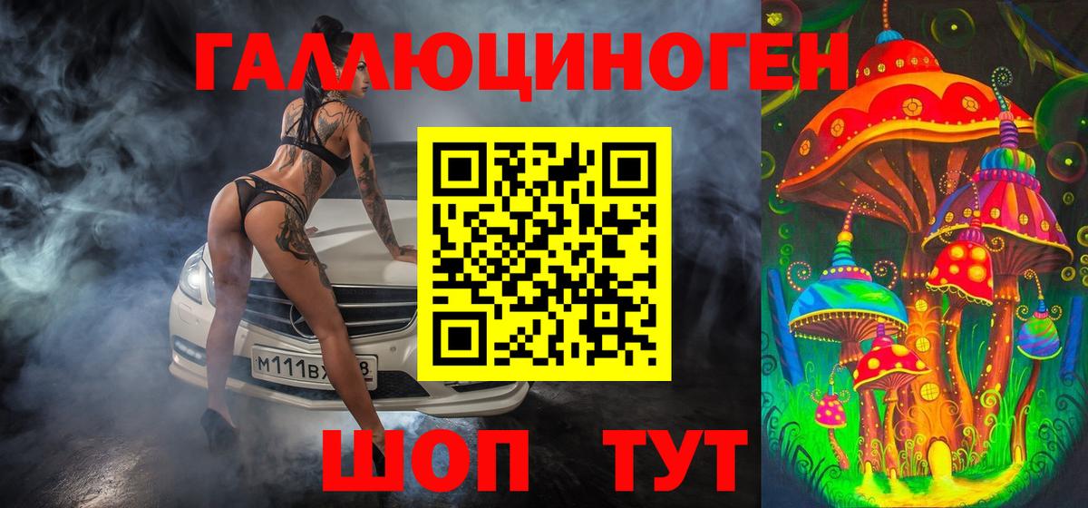 Нижнекамск  Галлюциногенные грибы Psilocybine cubensis  Вход с VPN  Псилоцибиновые грибы Psilocybine cubensis 